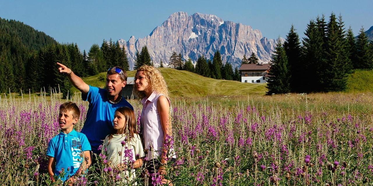 Casa Alpina Sacro Cuore Canale dʼAgordo Dış mekan fotoğraf
